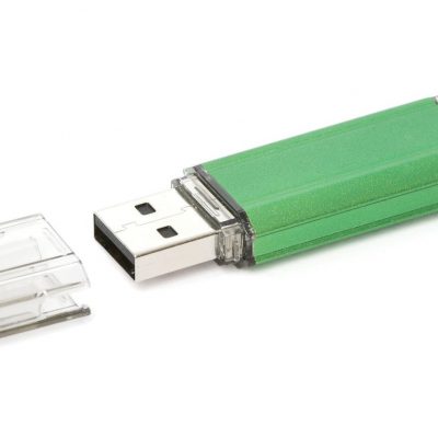 Standard Crow USB Flash Drive
